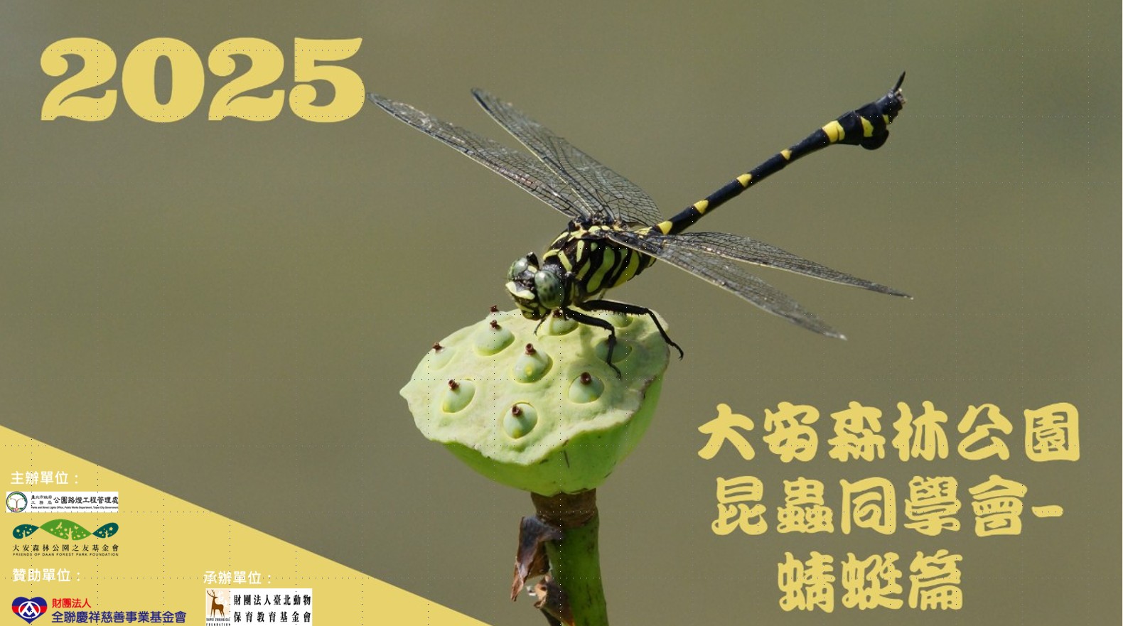 「昆蟲同學會」親子體