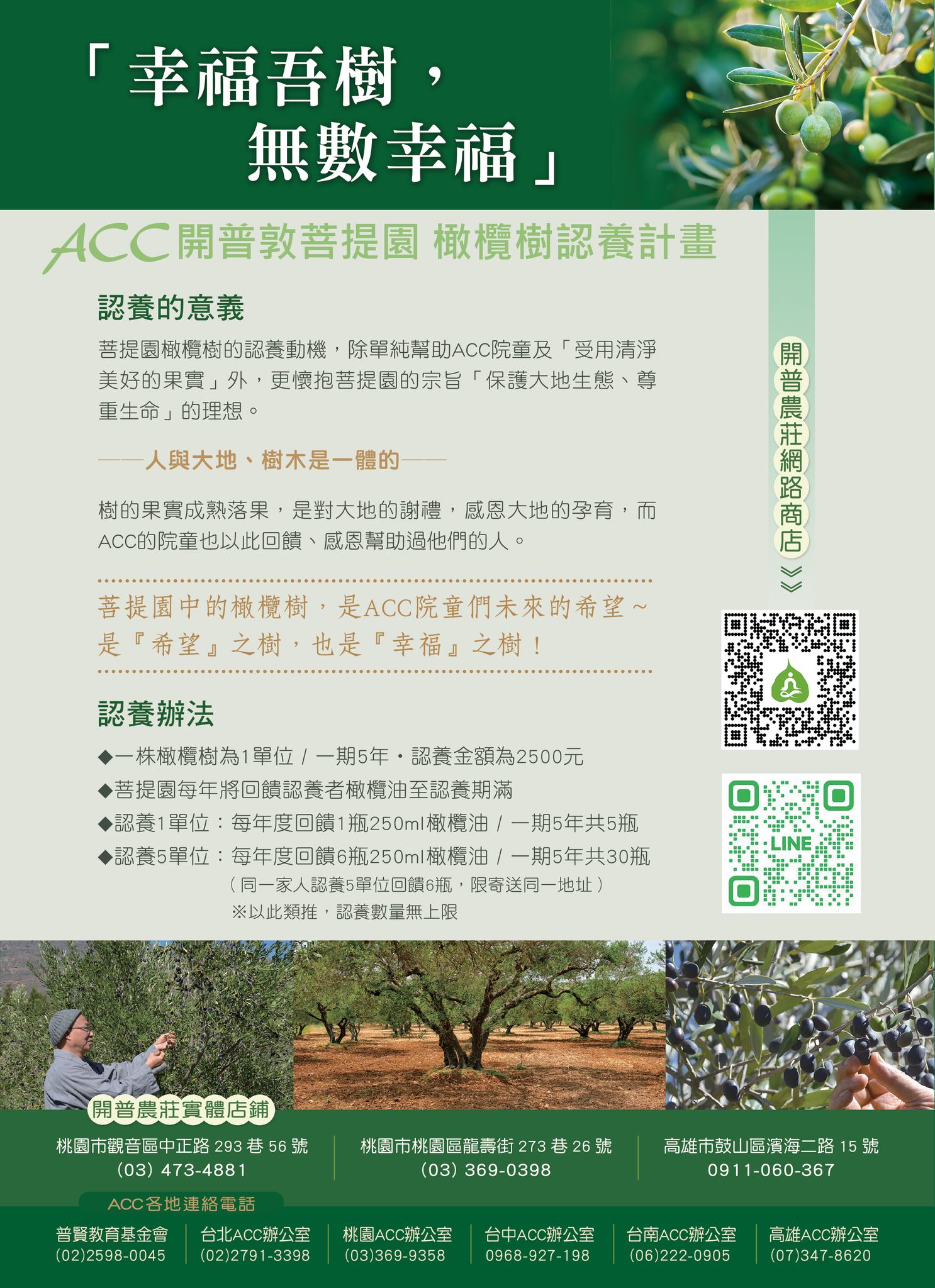 開普敦菩提園 橄欖樹