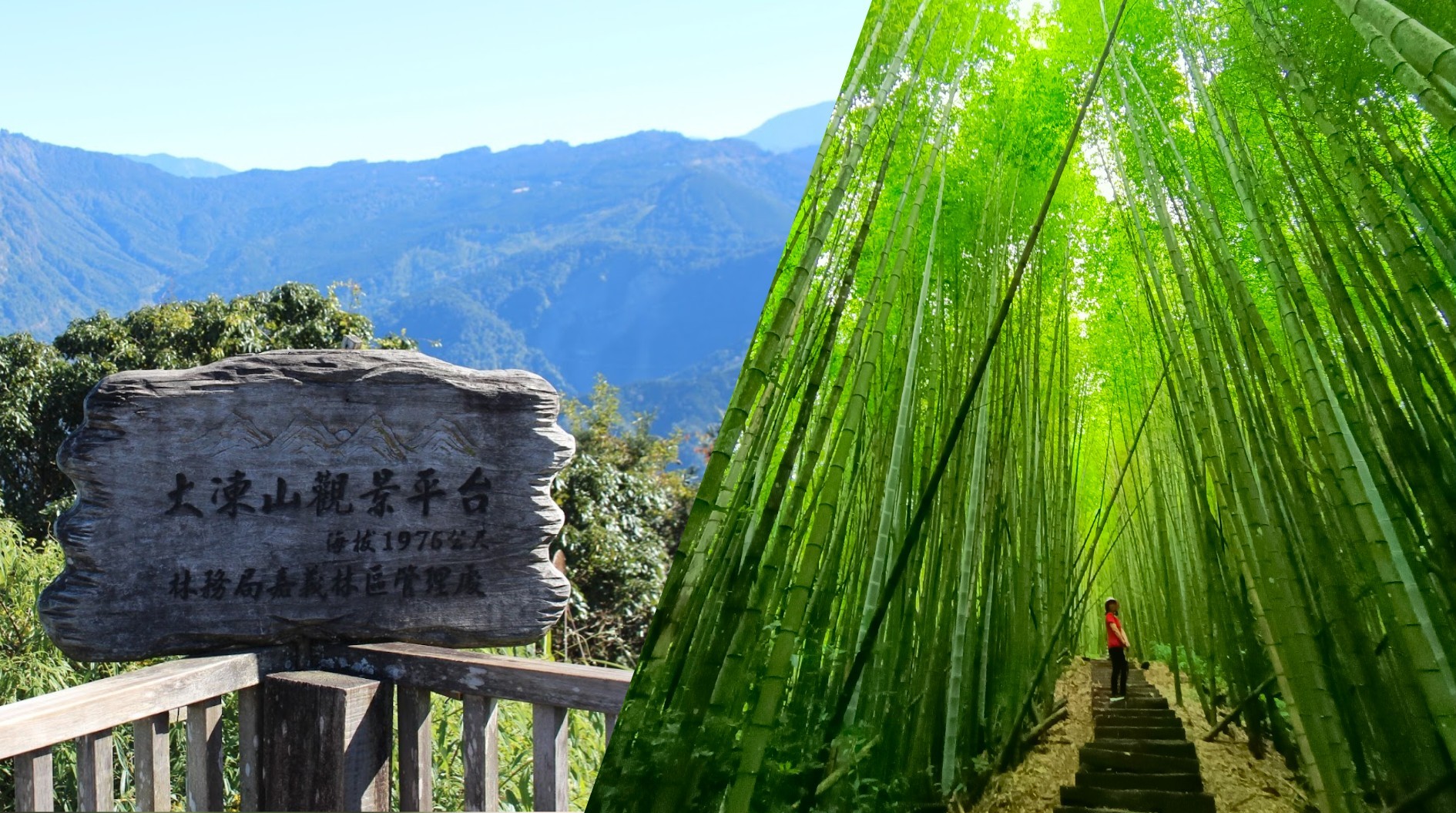 【新竹市健行登山協會