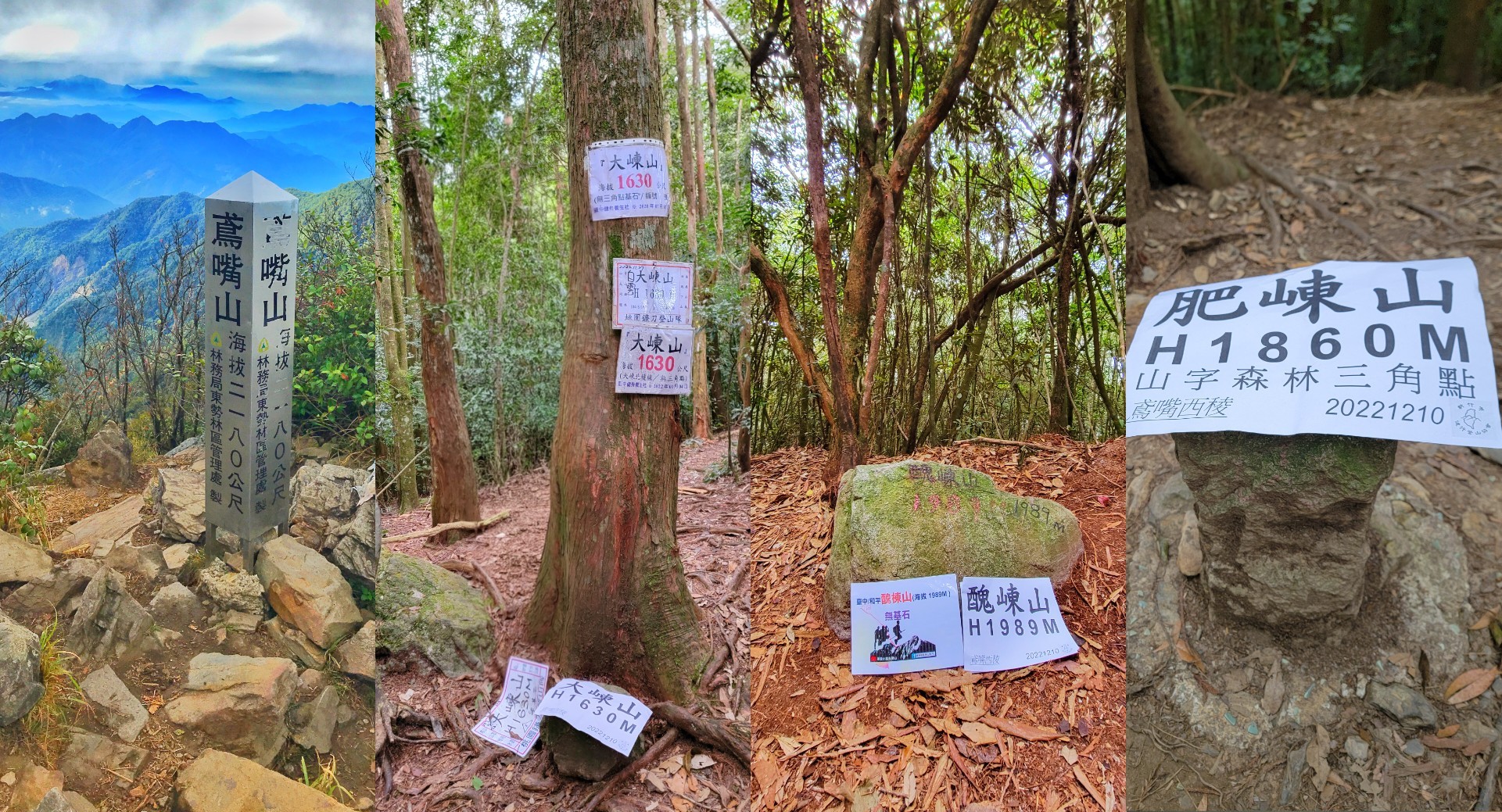 【新竹市健行登山協會