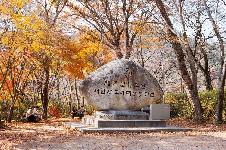 韓國 大邱 釜山 慶