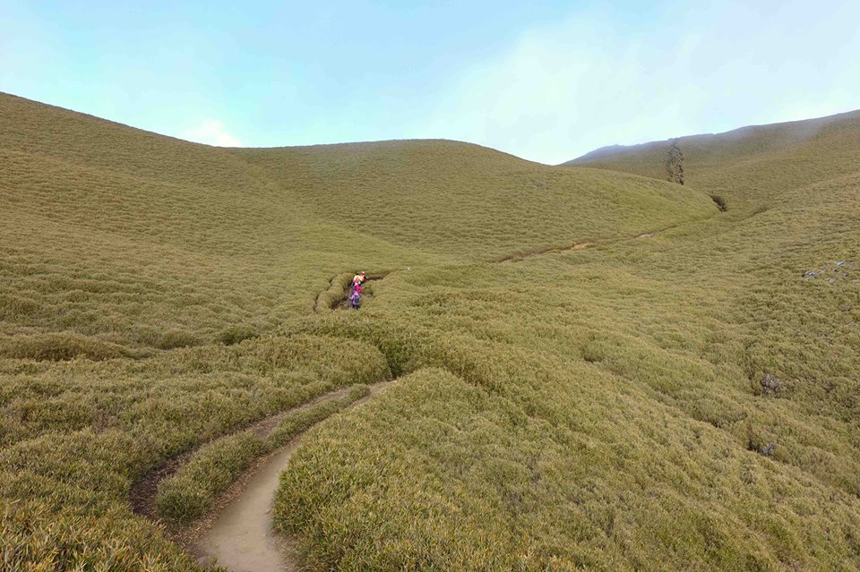 【新竹市健行登山協會