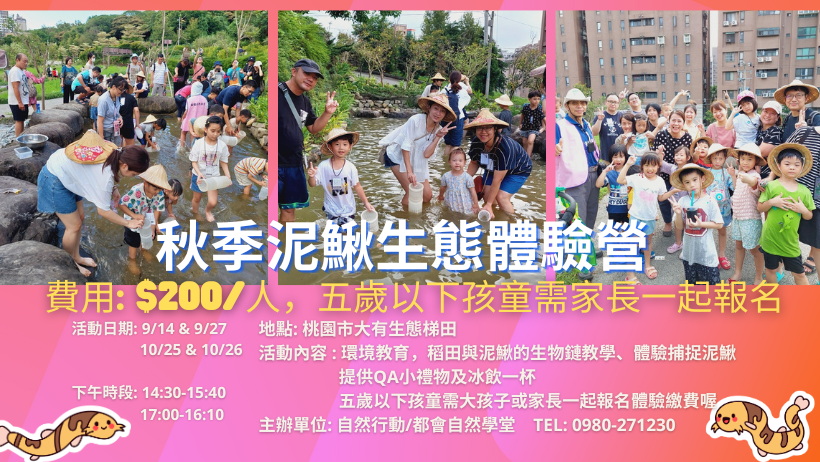 泥鰍生態體驗營(秋季