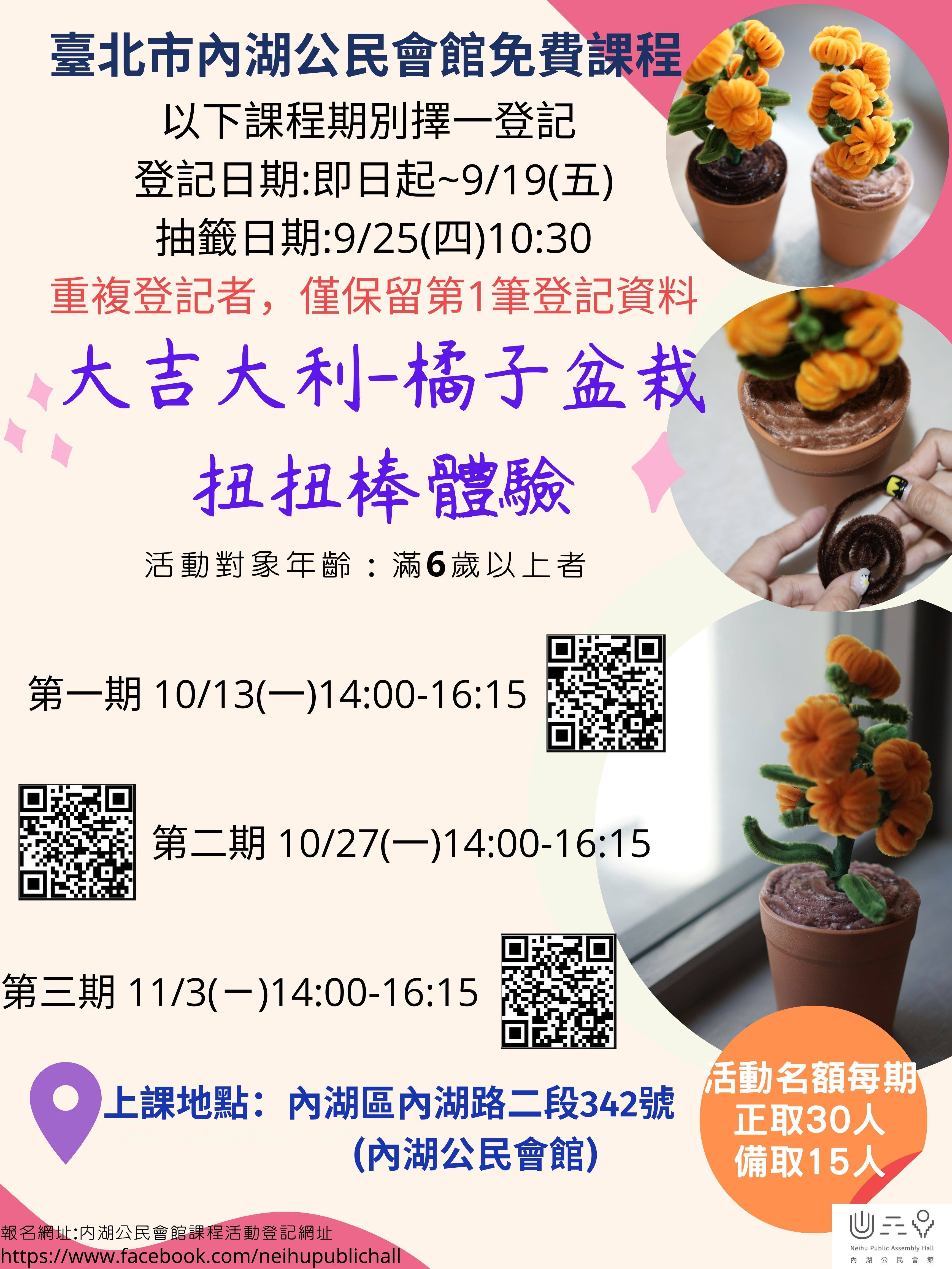 大吉大利-橘子盆栽扭