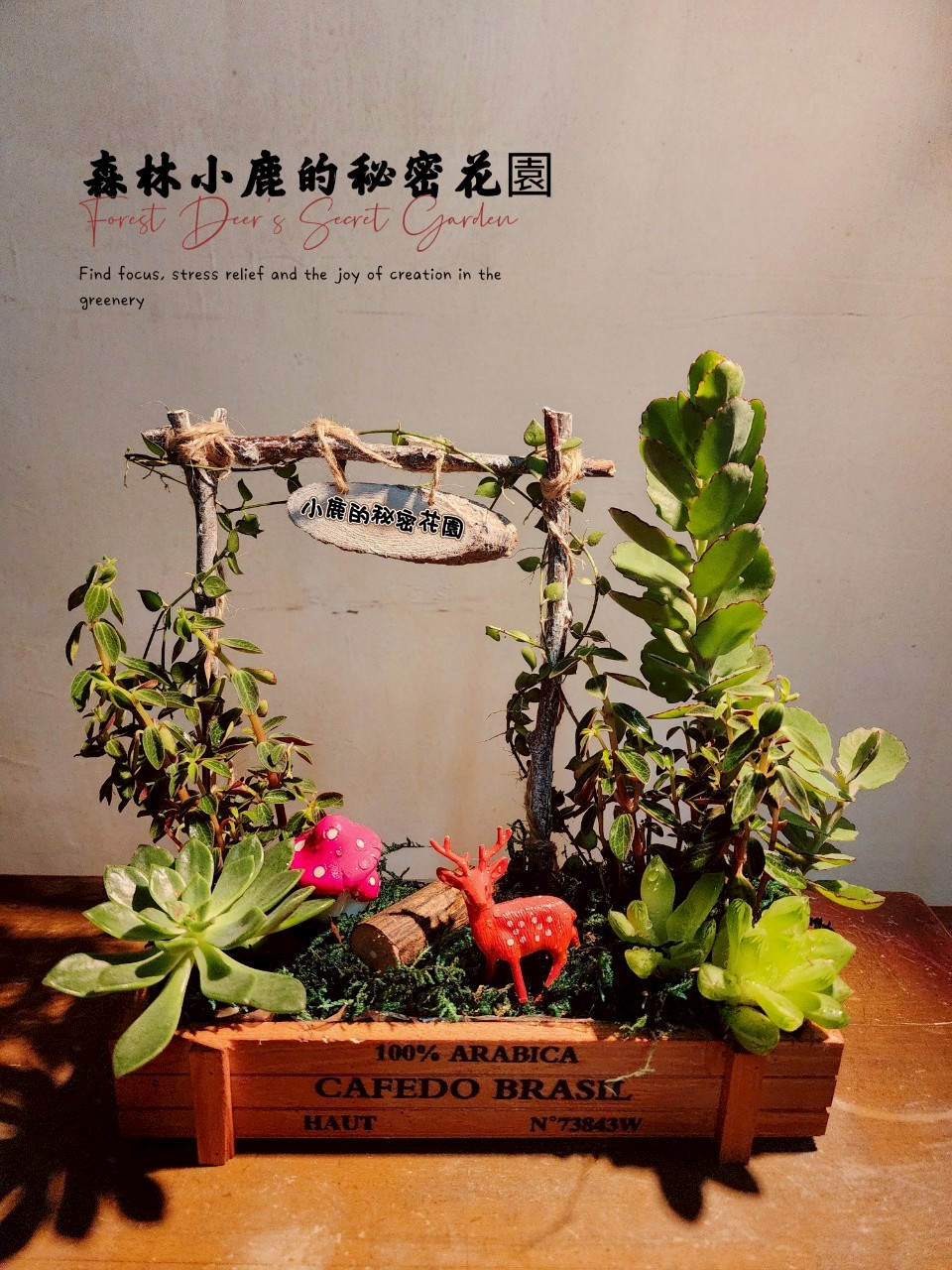 療癒系多肉森林