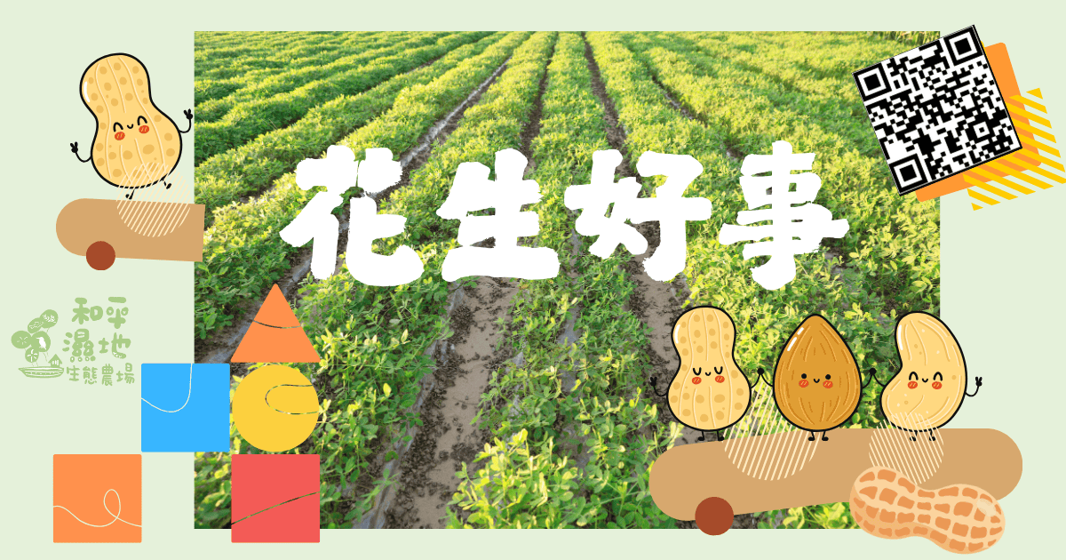 114年🌱友善花生採