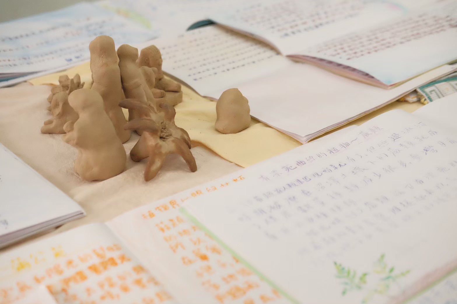 ※ 小學階段的華德福