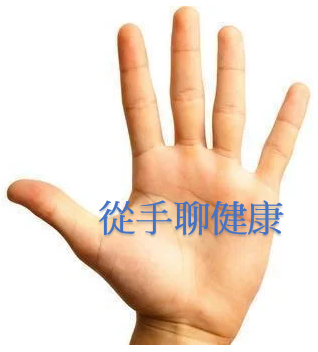 探索手掌的健康秘密