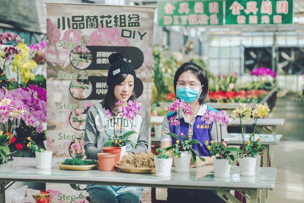 2025桃園花彩節周