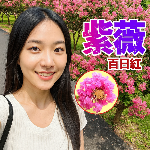 10/27🚌國內🌝 
