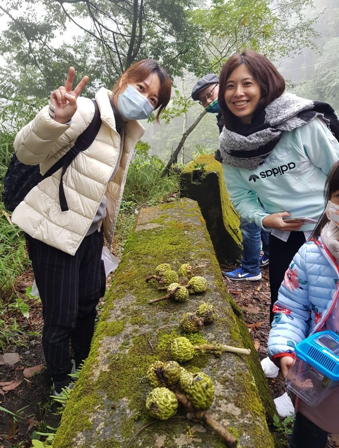 殼斗小旅行-尋櫟趣(