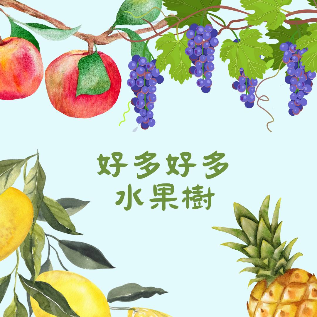 小橙堡X好多好多水果