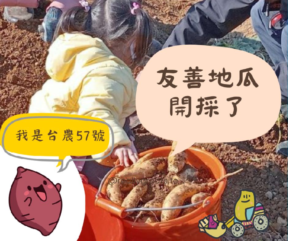 114年🌱友善地瓜甜