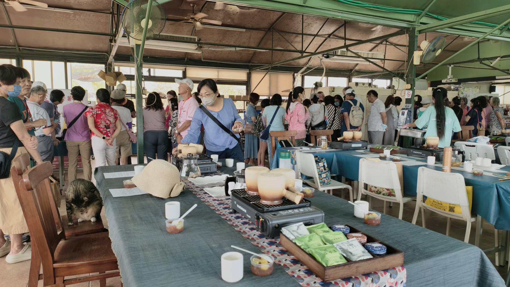 臺南市下營柚見幸福-