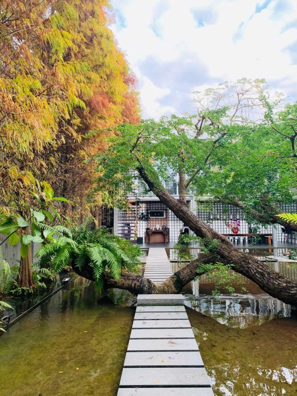 藝樹館-邂逅自然與藝
