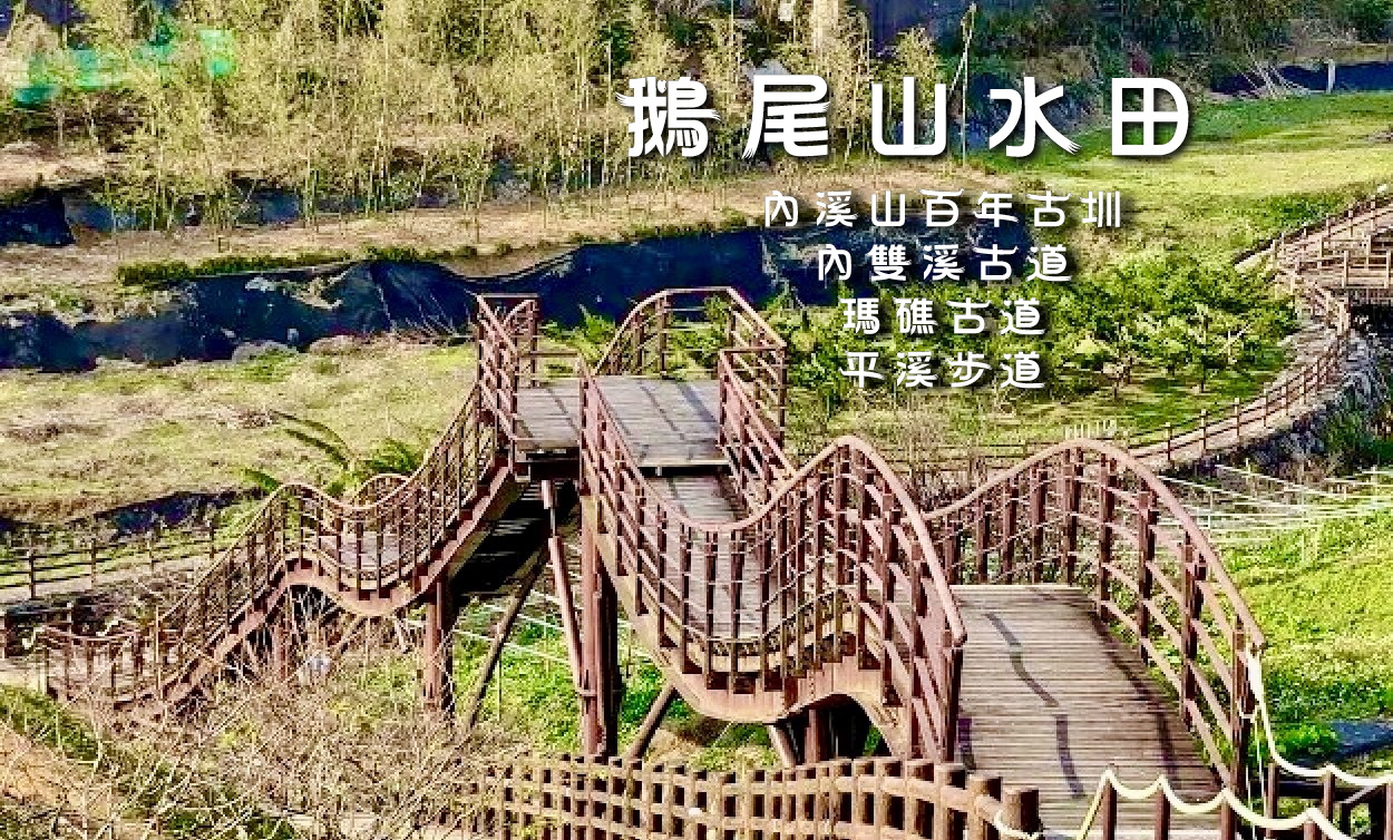 【台中市健康登山協會