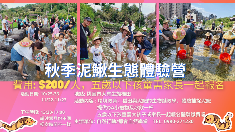 泥鰍生態體驗營(秋季