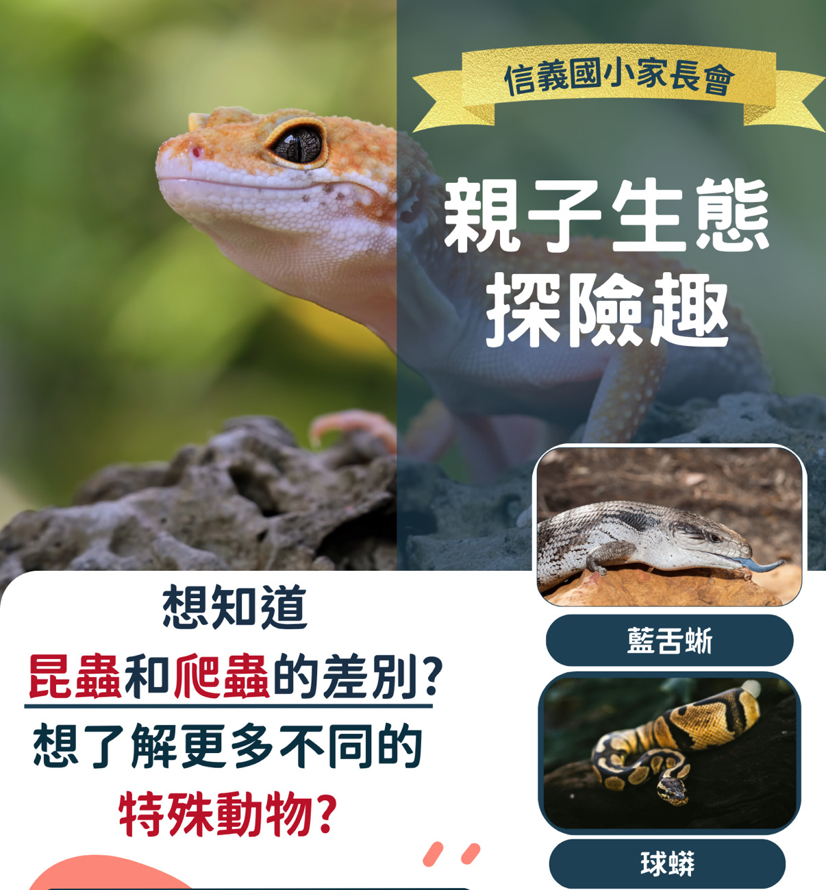 信義國小-10/18