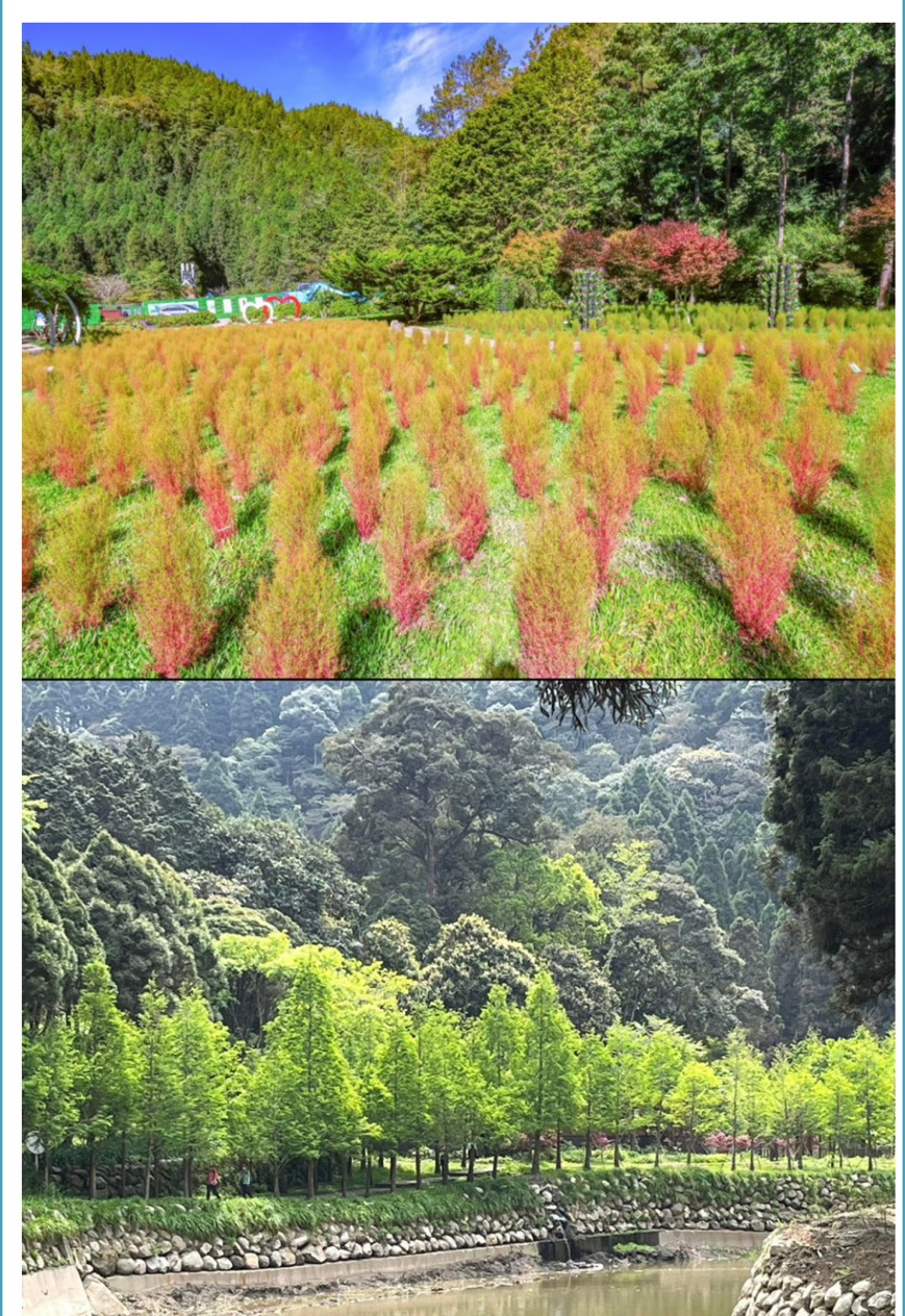 10月11日(六)悠