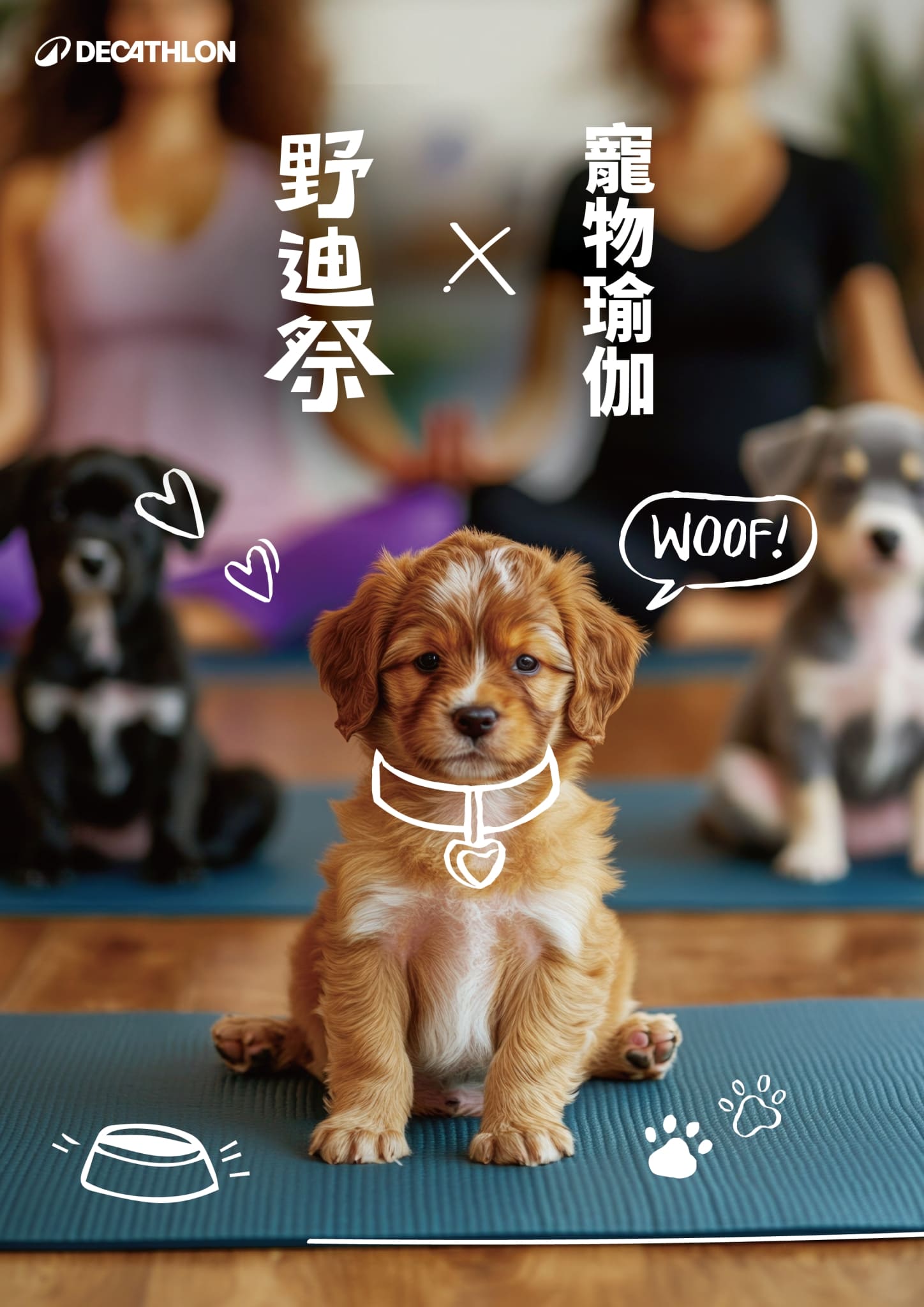 2025迪卡儂新竹店
