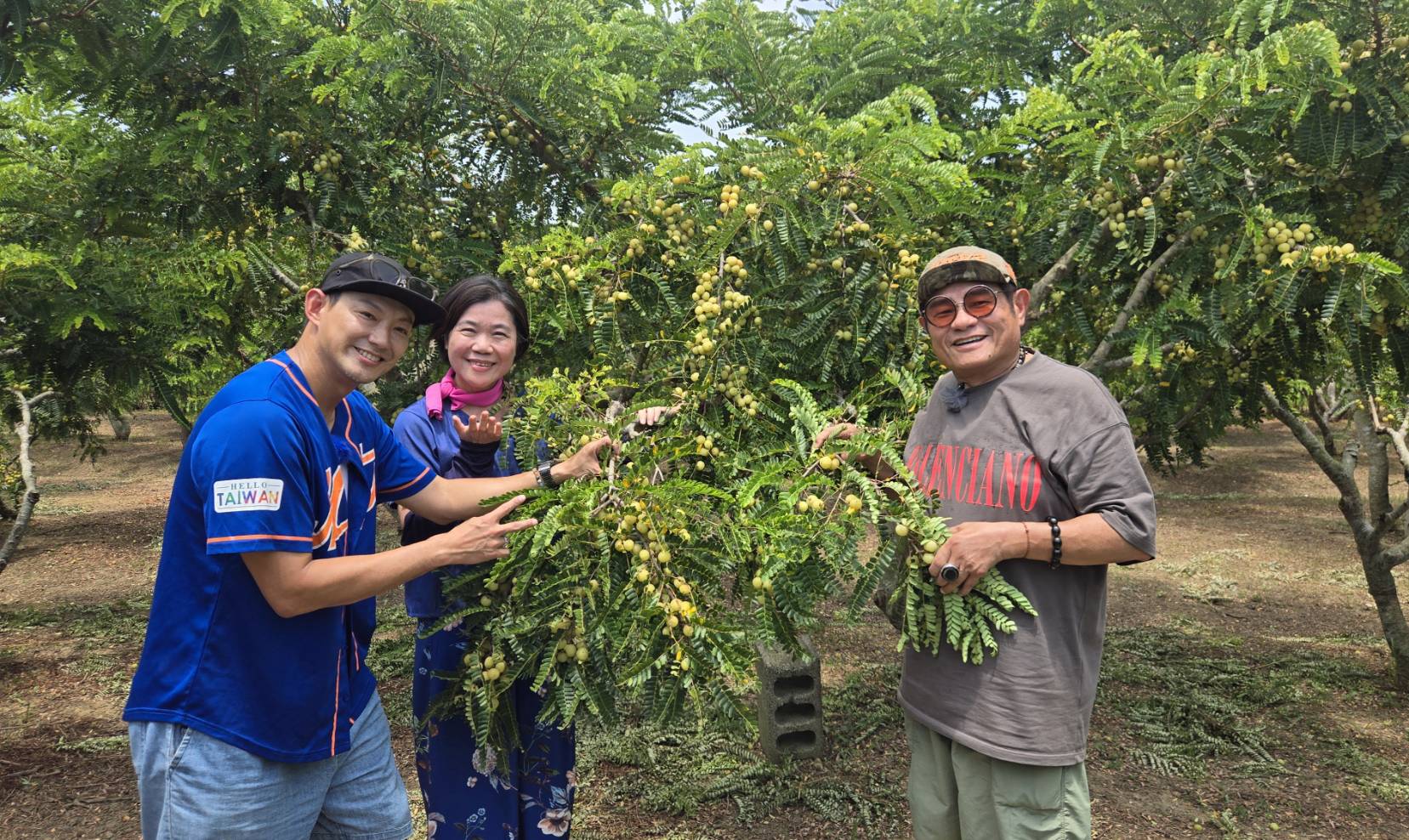 苗栗油甘採果同樂會1
