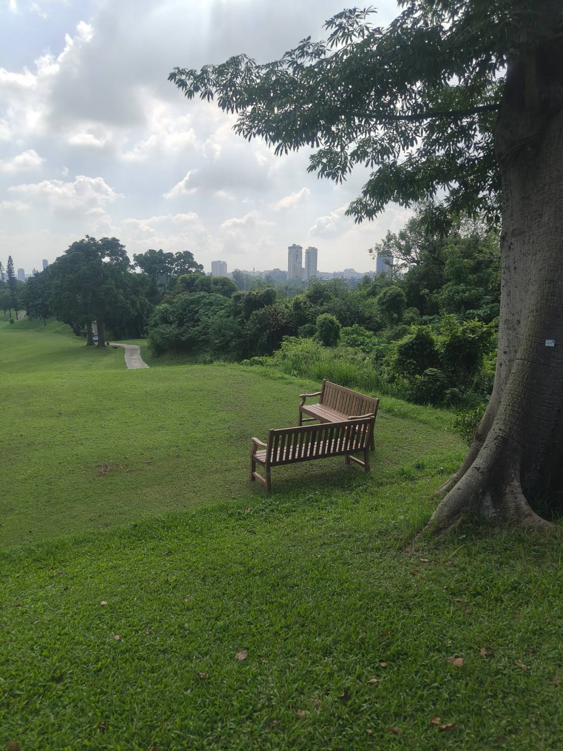 高雄市果嶺自然公園 