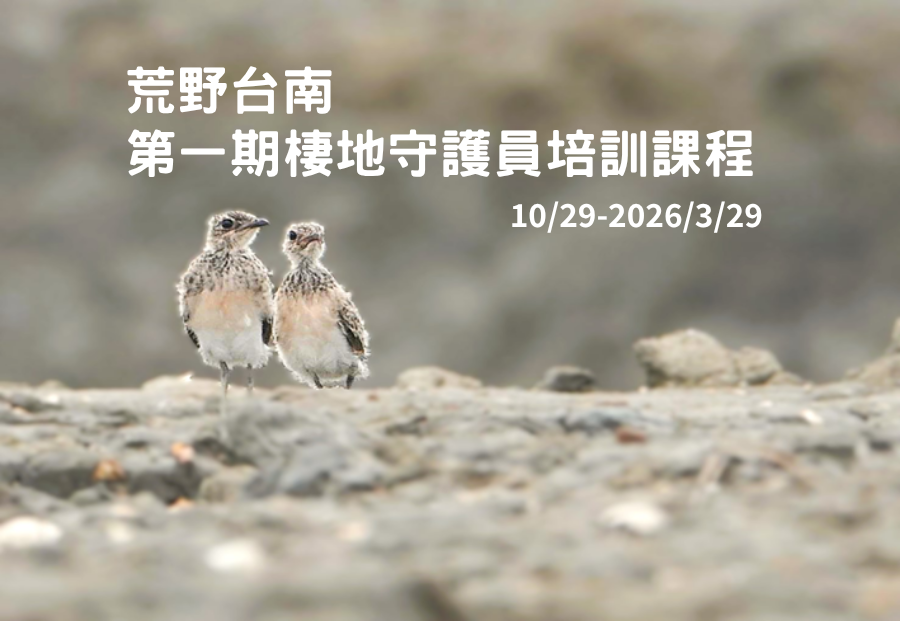 荒野台南第一期棲地守