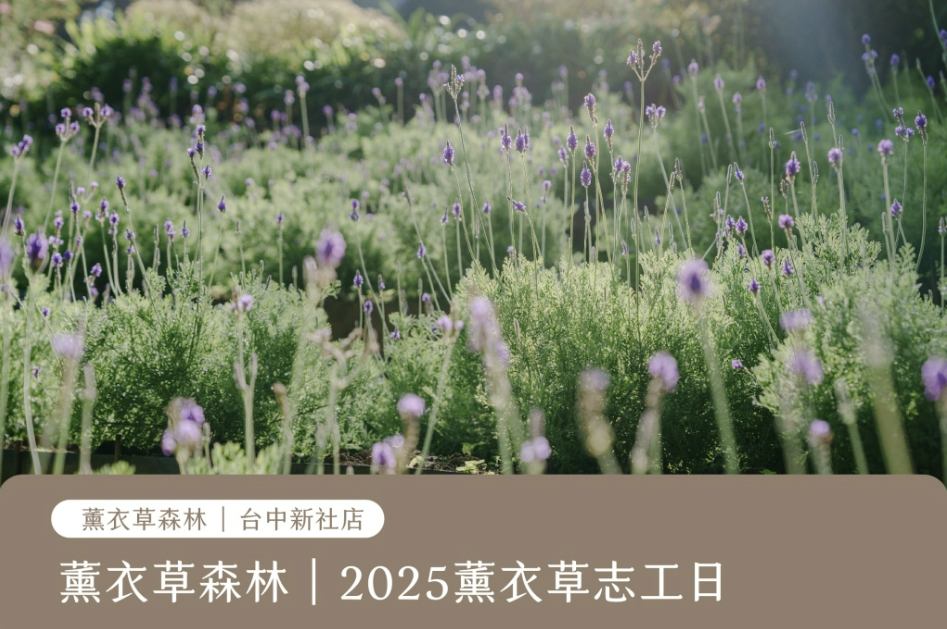 【台中新社】薰衣草森