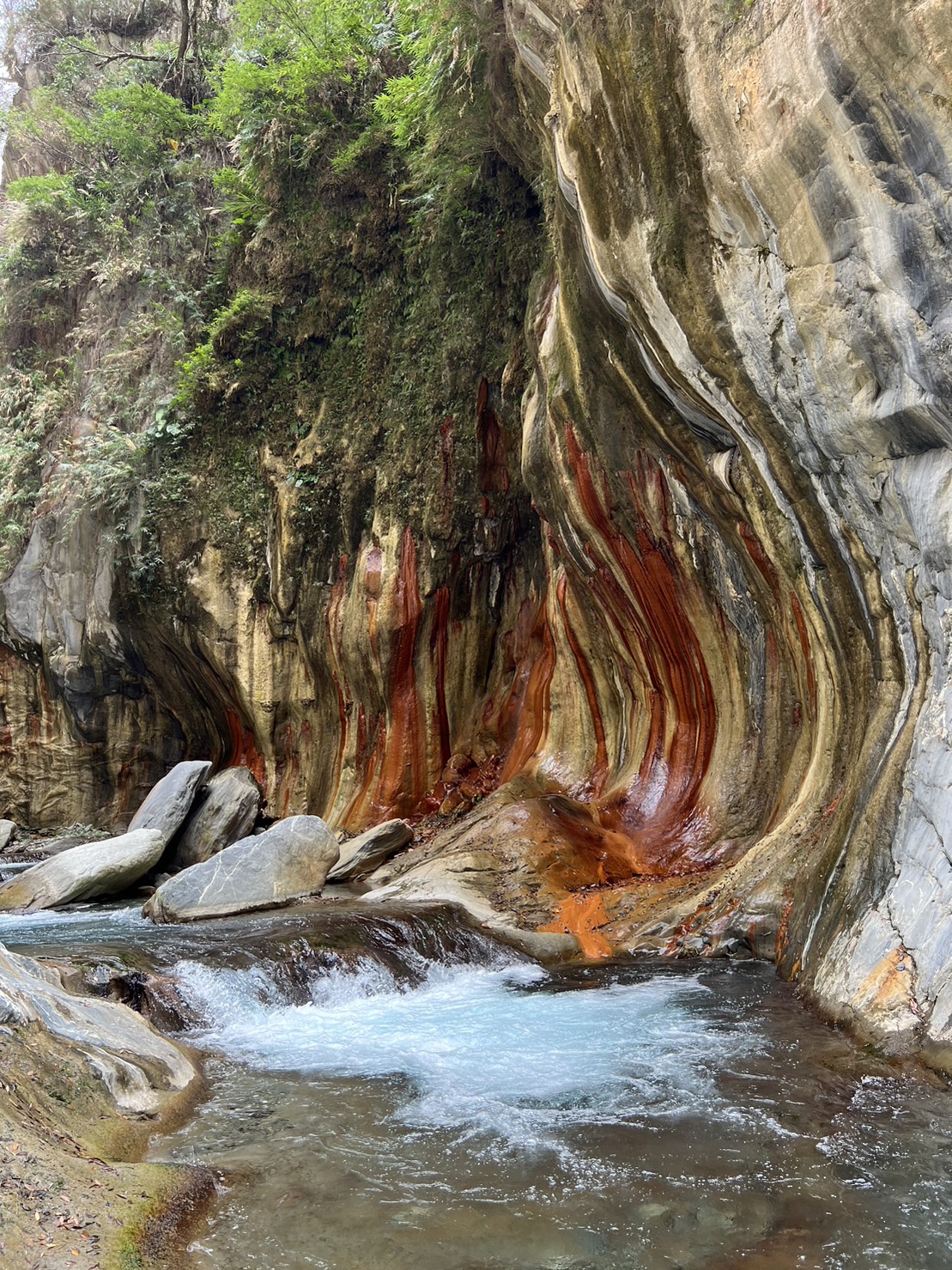 2026年哈尤溪自然