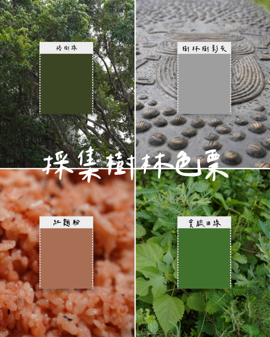 採集樹林色票工作坊-