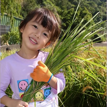 忘憂谷割稻體驗志工招