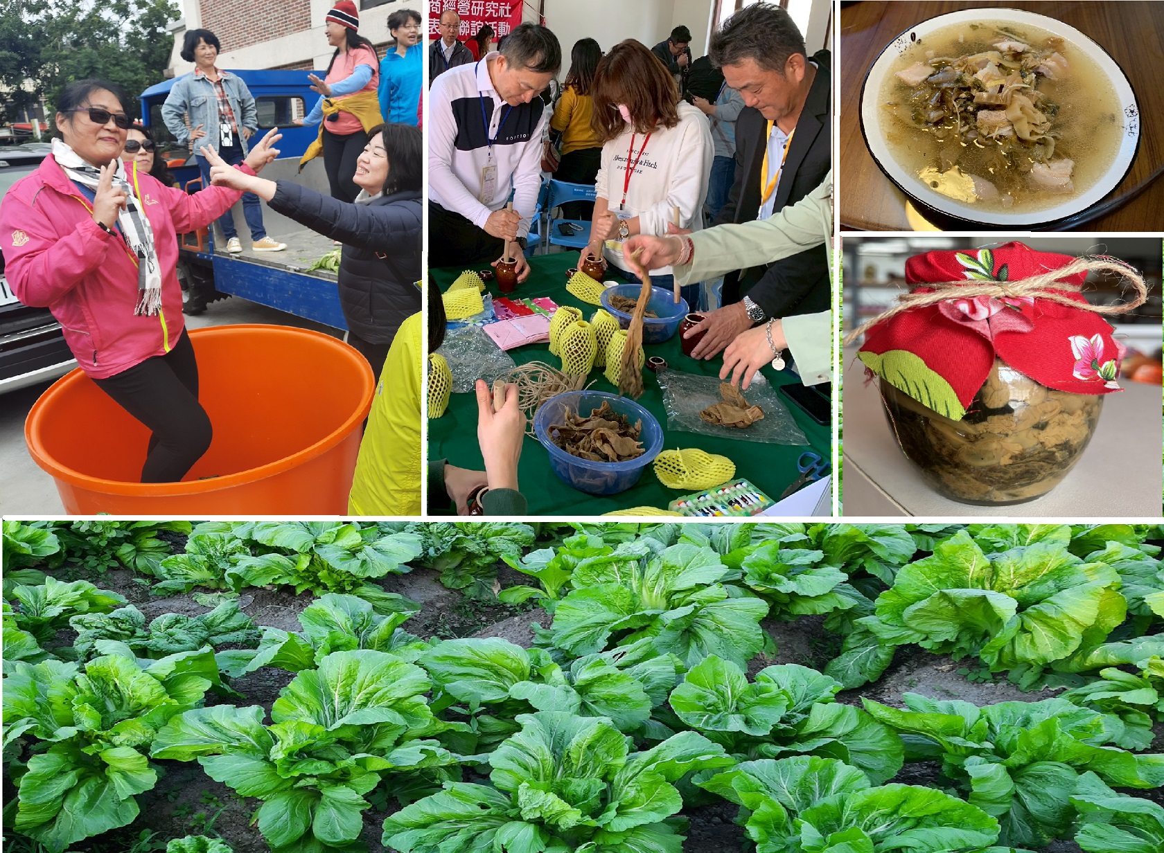 【霄遙遊】樂活小農福