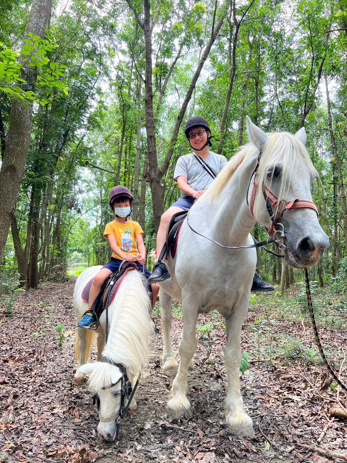 【高雄市救國團115