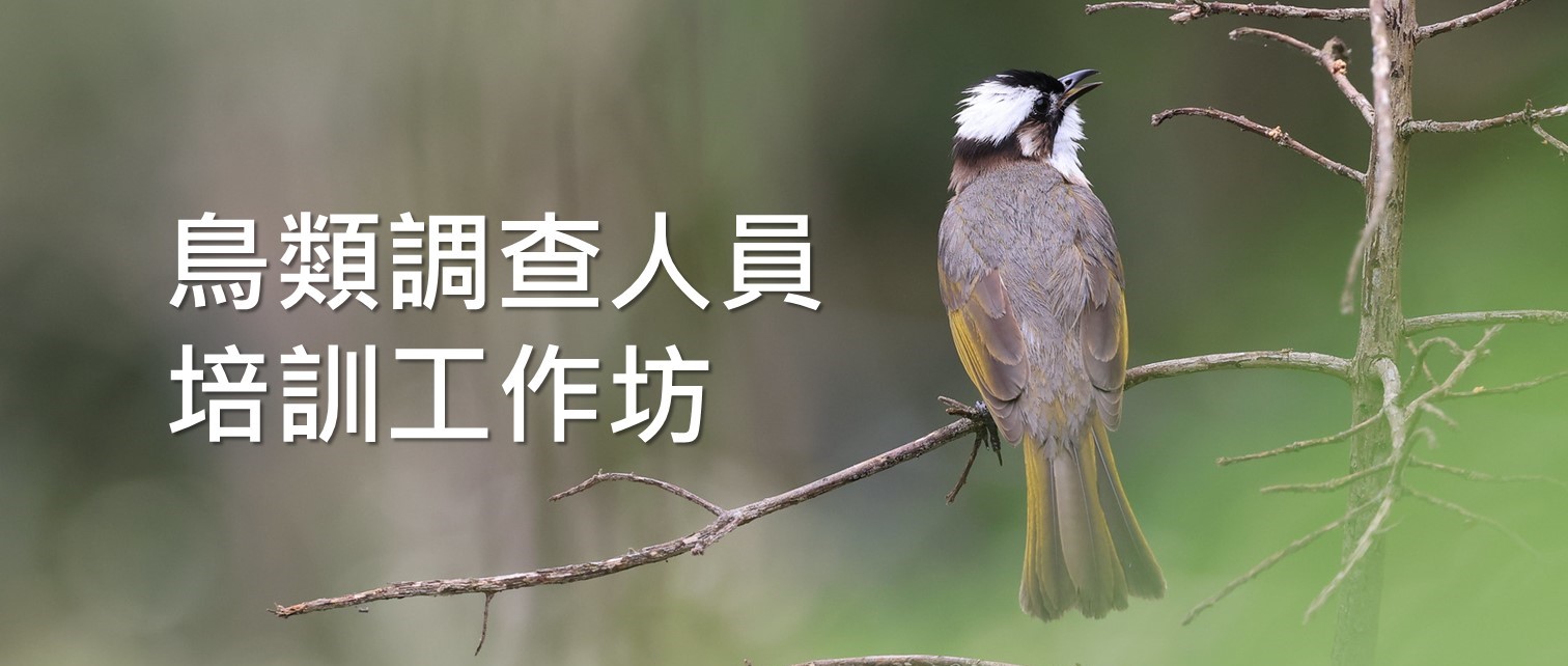 鳥類調查人員培訓工作