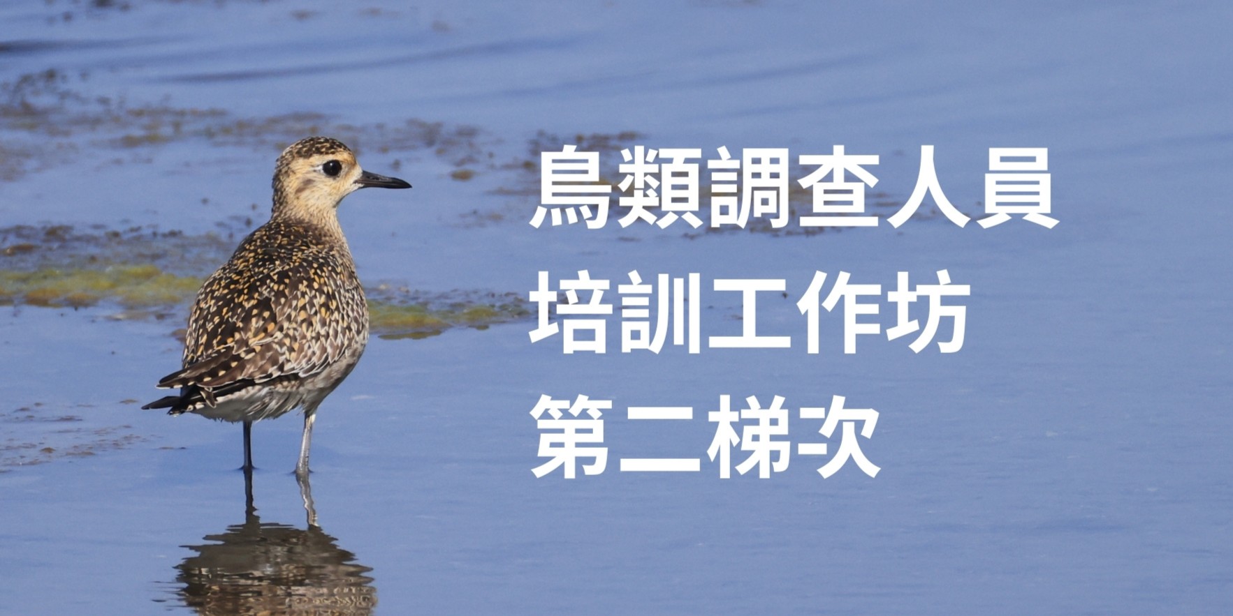 鳥類調查人員培訓工作