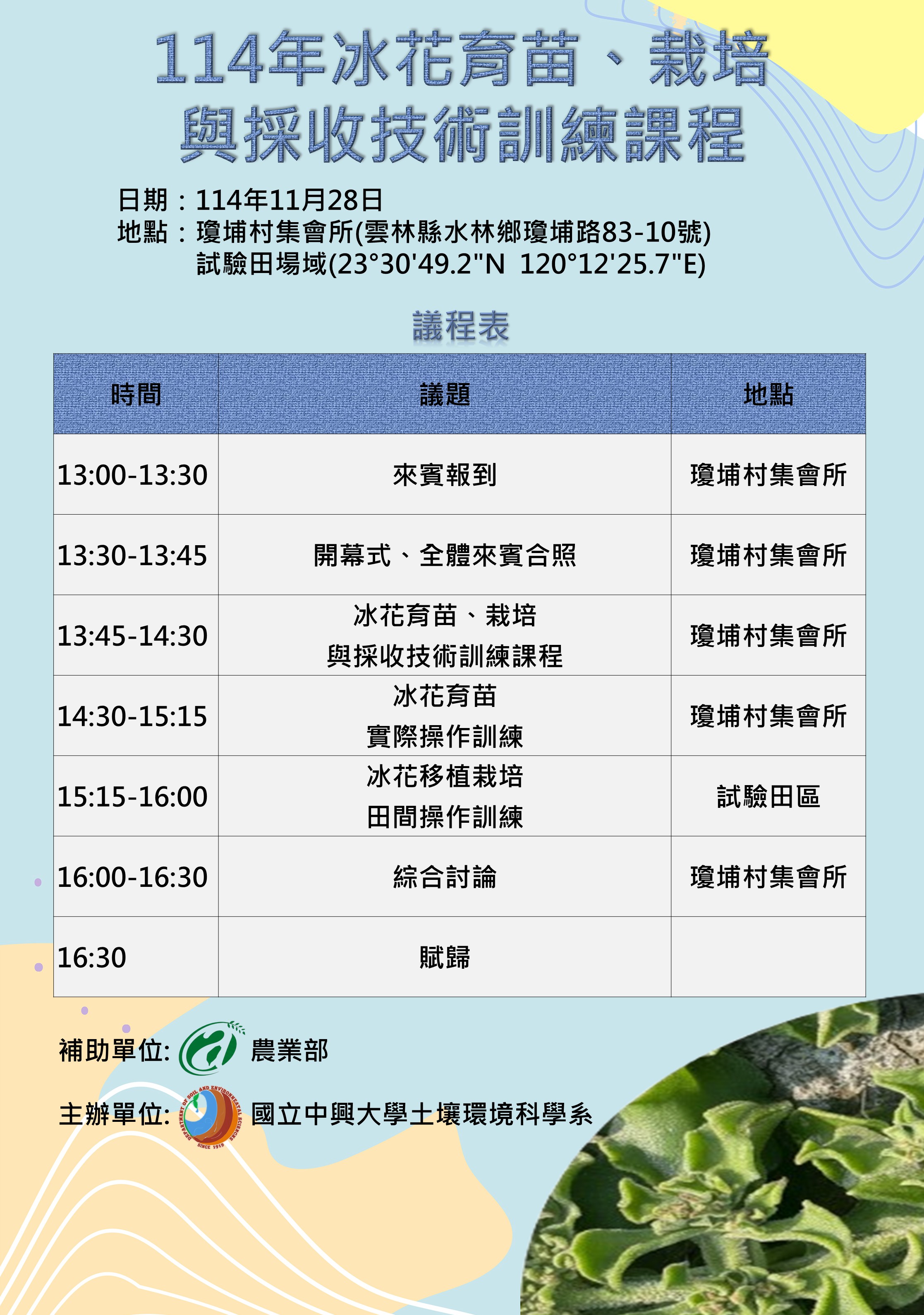 114年冰花育苗、栽