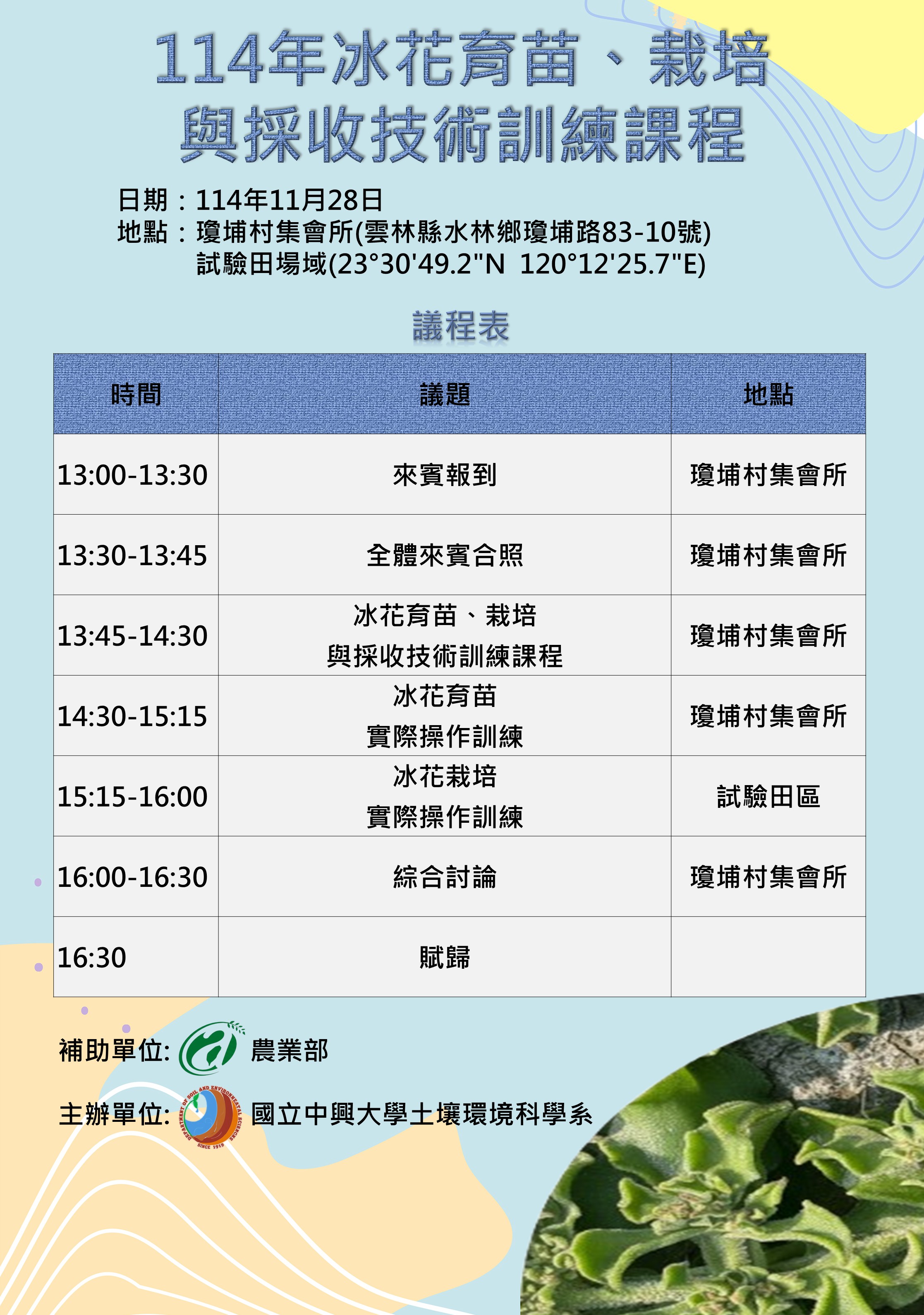 114年冰花育苗、栽