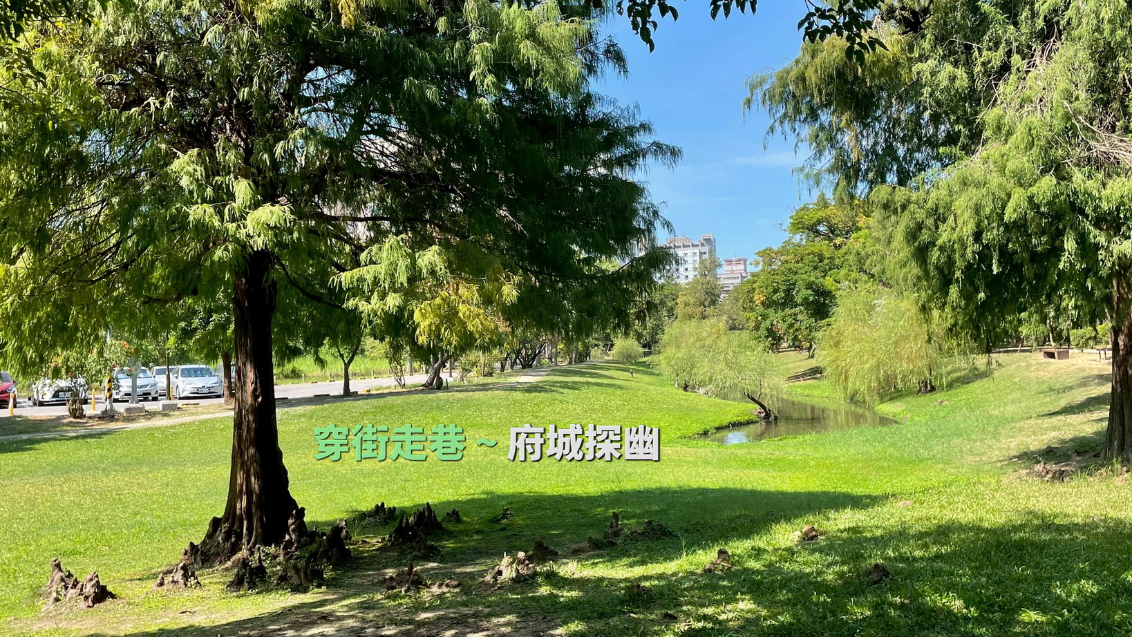 【台中市健康登山協會