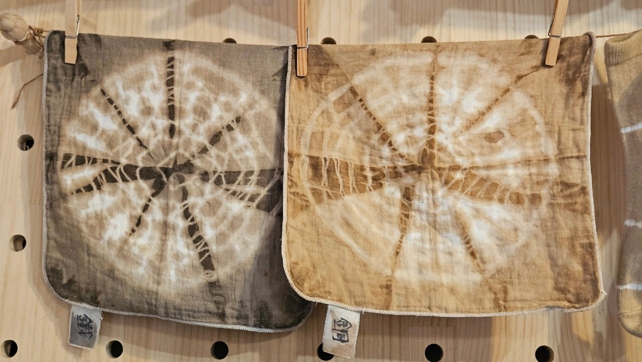 (快閃)新竹縣新埔鎮