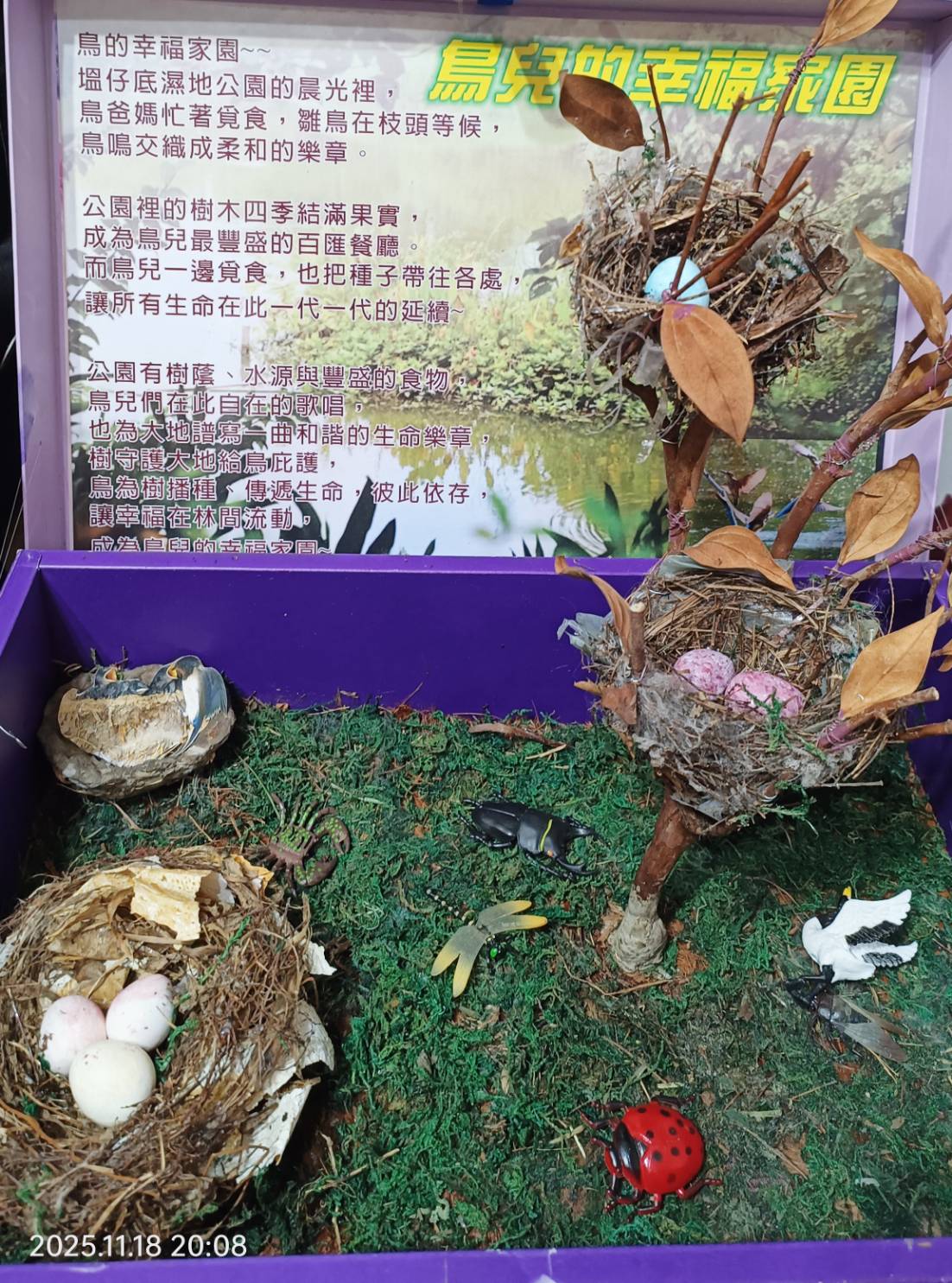 鳥兒的幸福家園 |