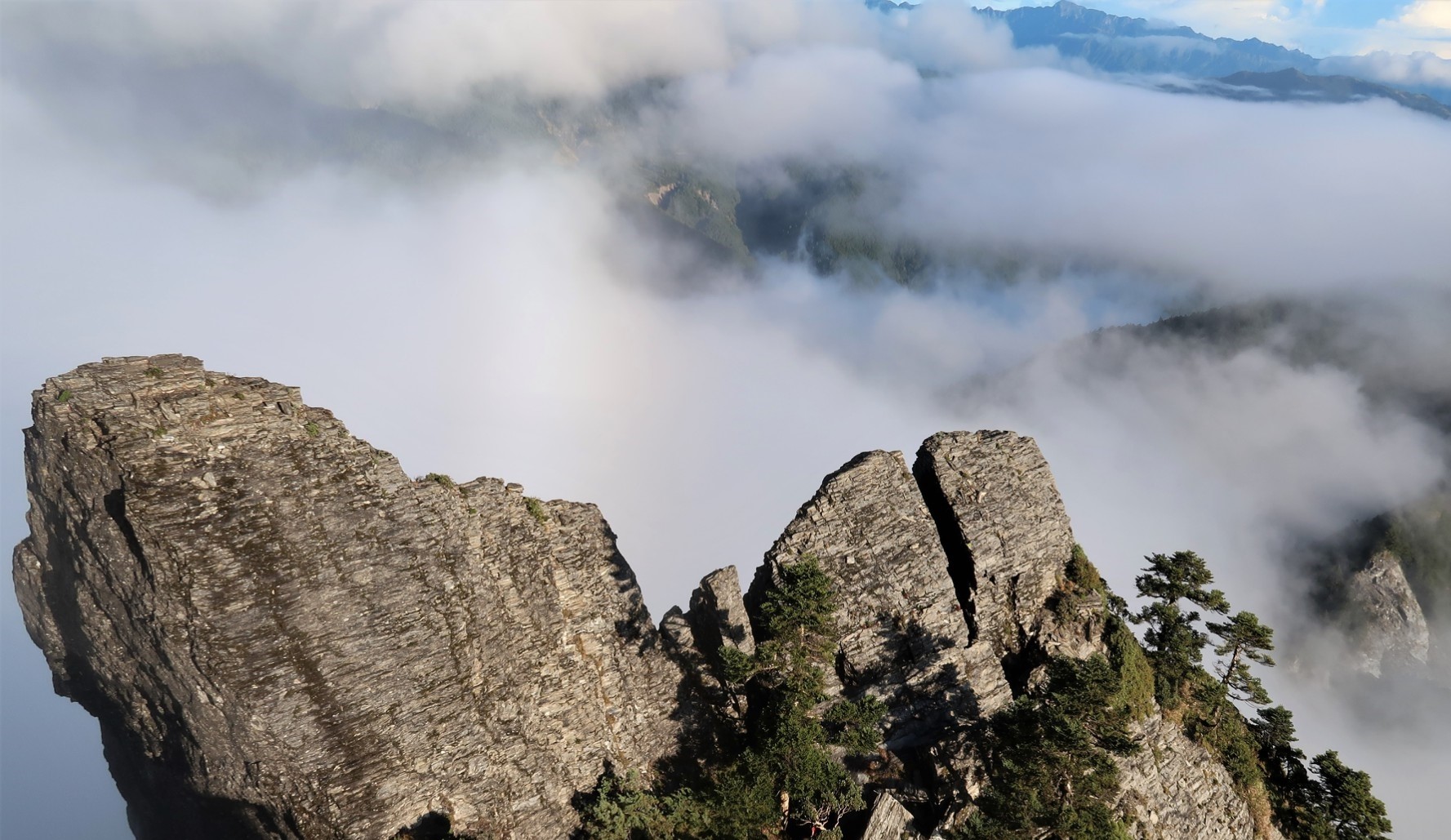 【新竹市健行登山協會