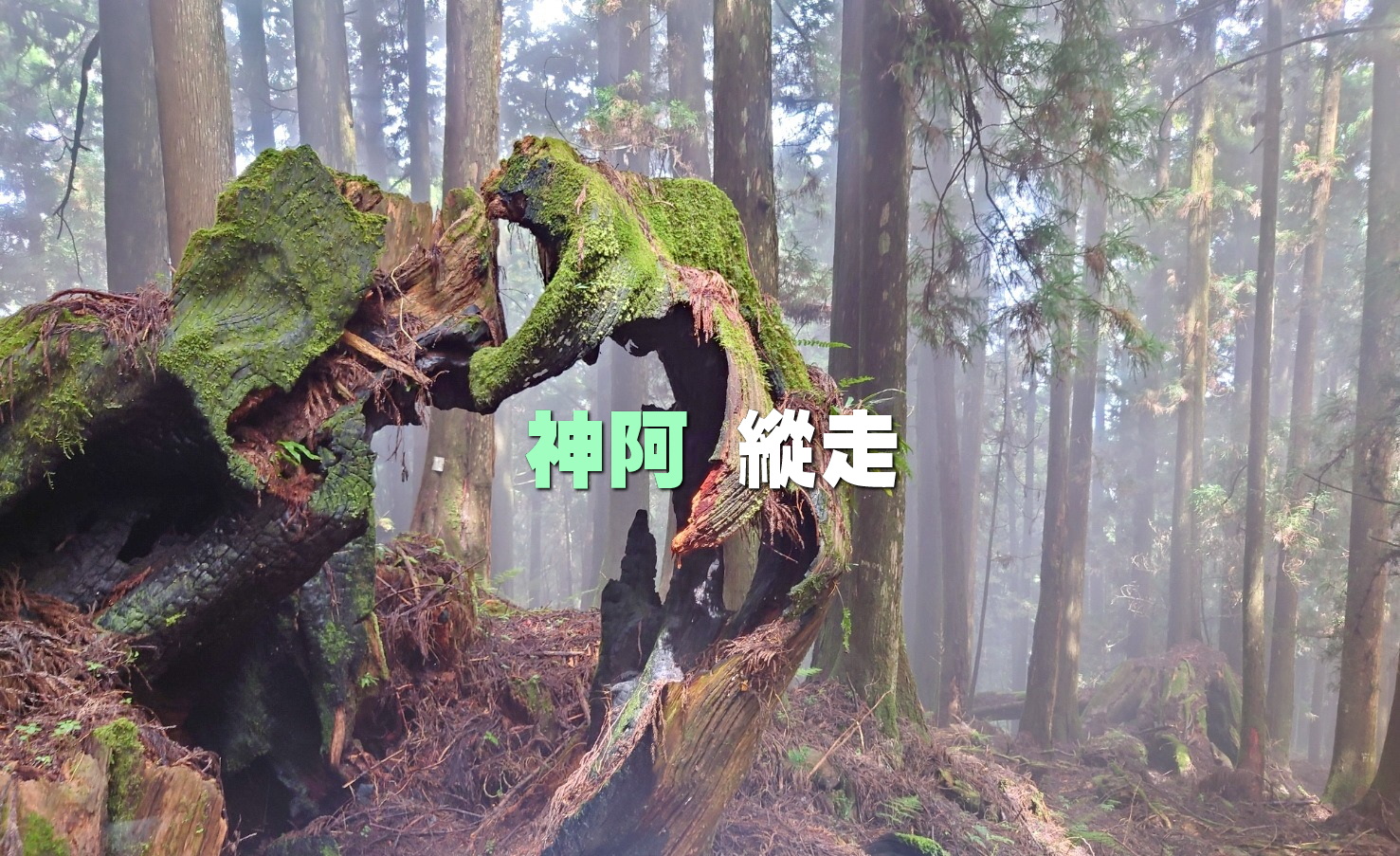 【台中市健康登山協會