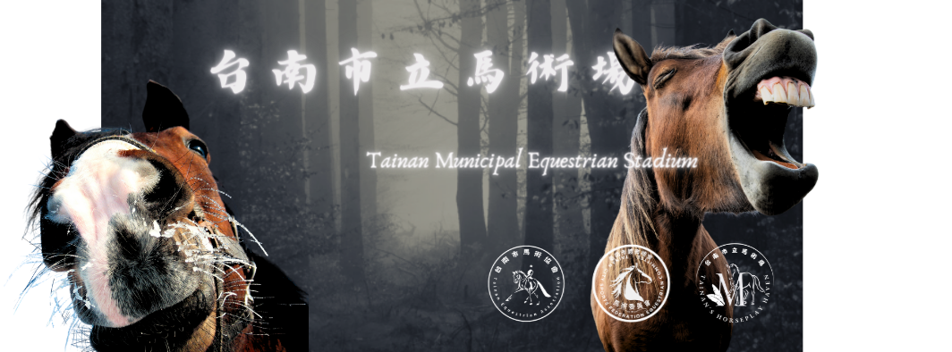 114年馬術體驗活動