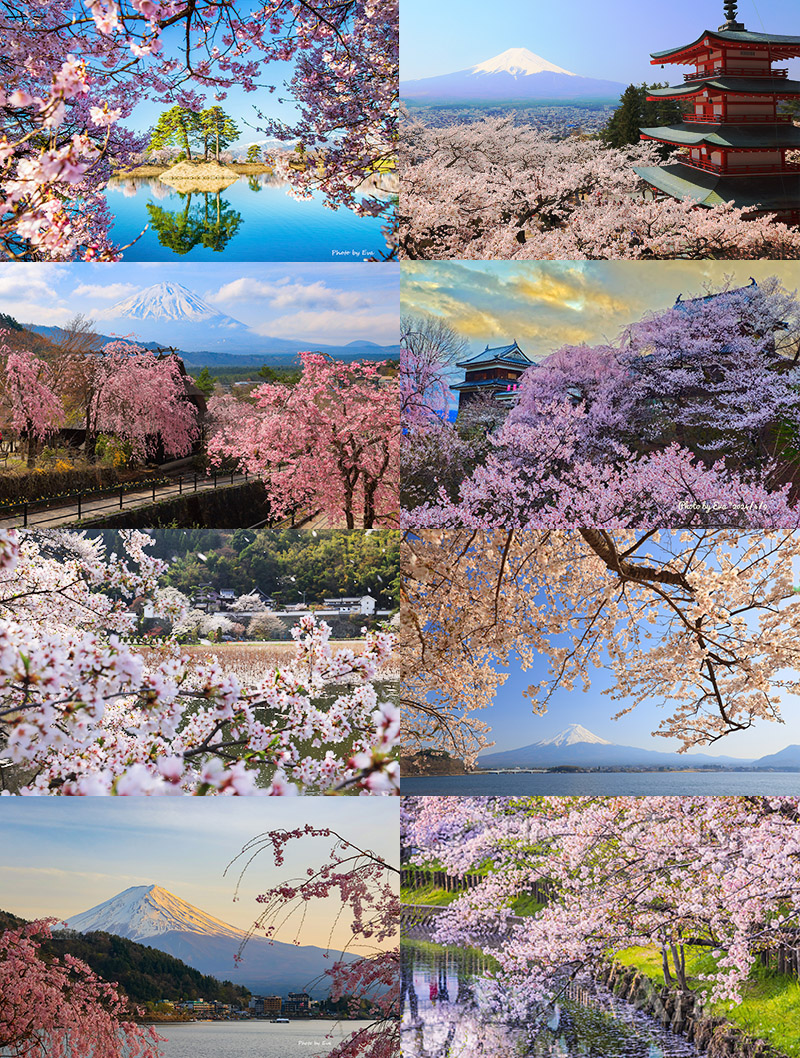 《攝遊網》2026日