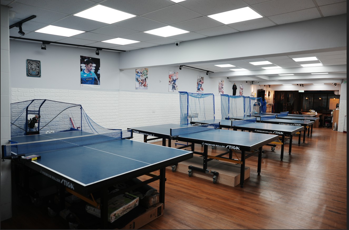 2026年宇宙貓乒乓