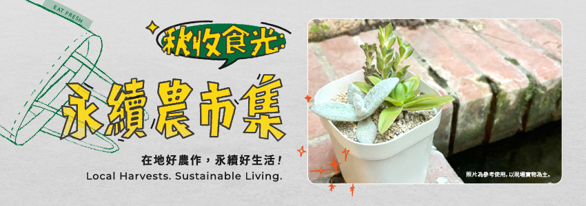 12/7療癒多肉盆栽