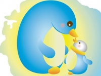 115年宣導大會招募