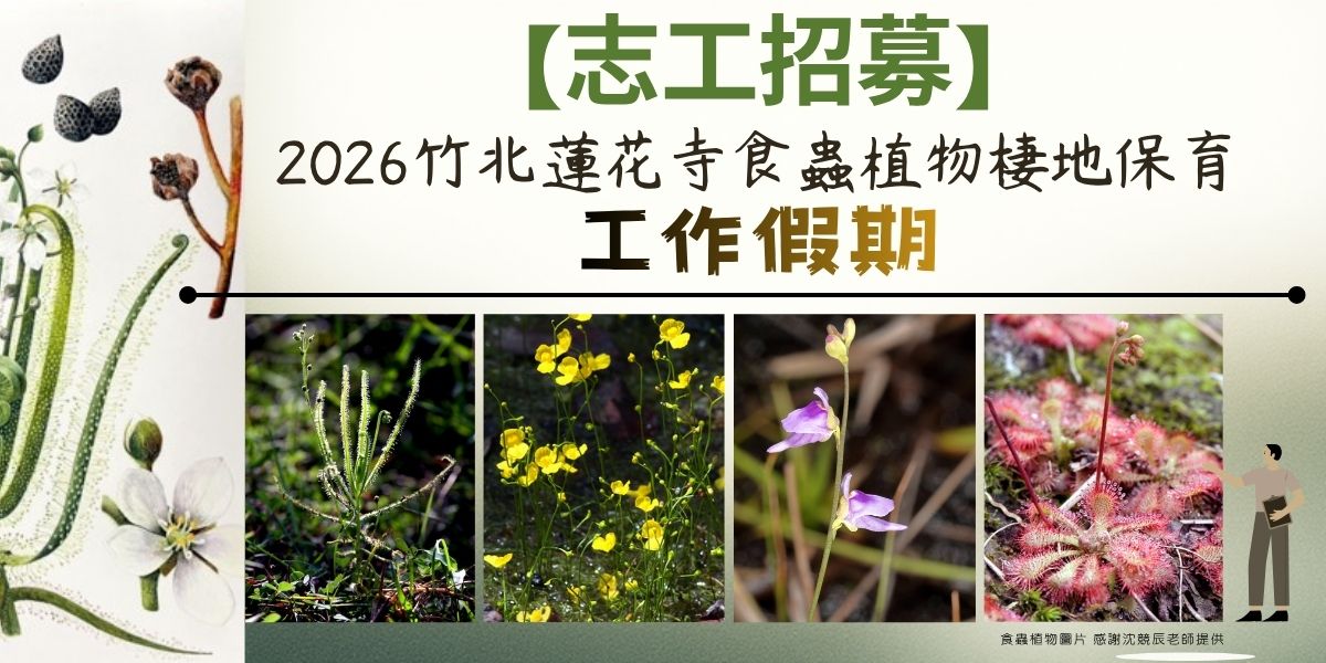 2026蓮花寺工作假