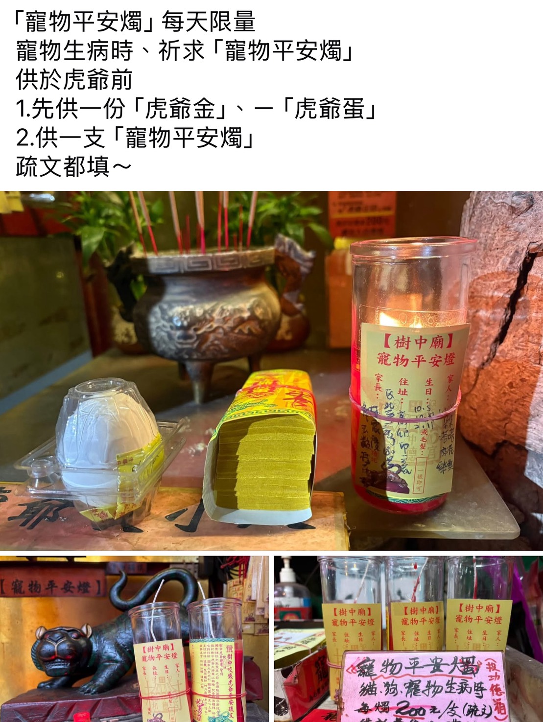 高雄市樹中廟虎爺【寵