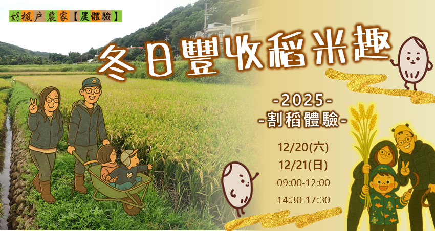 【農體驗】冬日豐收稻